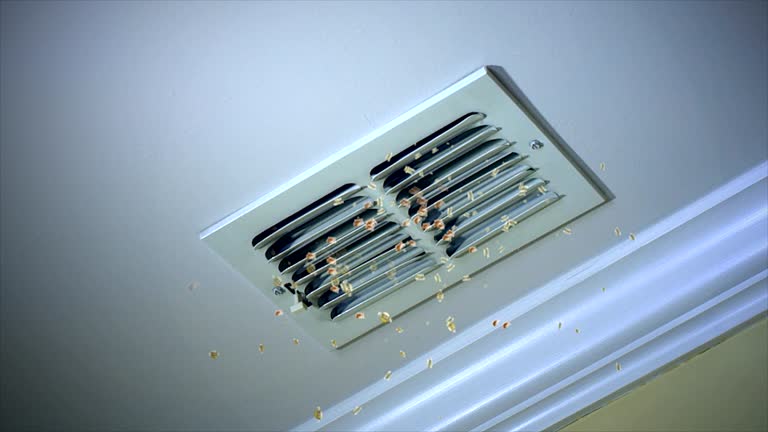 Best Air Duct Cleaning Near Me  in West Puente Valley, CA