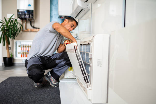 Best Professional Duct Cleaning Services  in West Puente Valley, CA