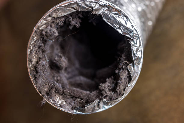 Best Best Air Duct Cleaning Company  in West Puente Valley, CA